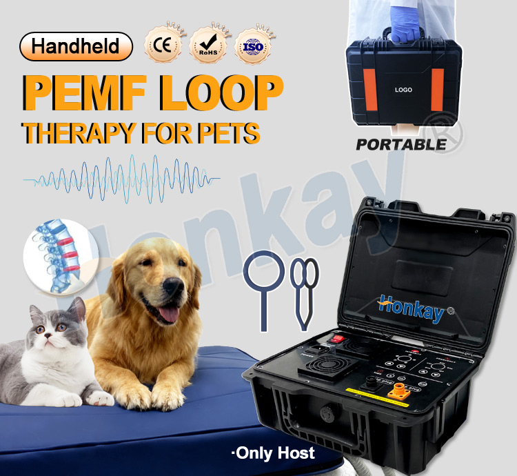 Personal Pet Care PEMF Device  - Therapy Health And Wellness 评论和价格